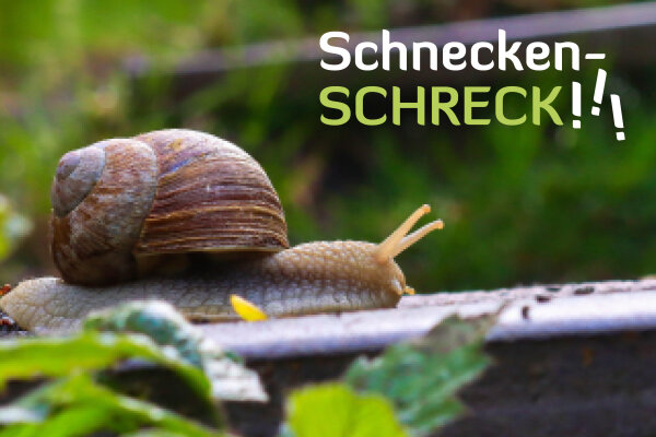Schneckenschreck!!! - Schneckenschreck!!!