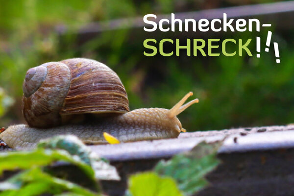 Schneckenschreck - Schneckenschreck!!!