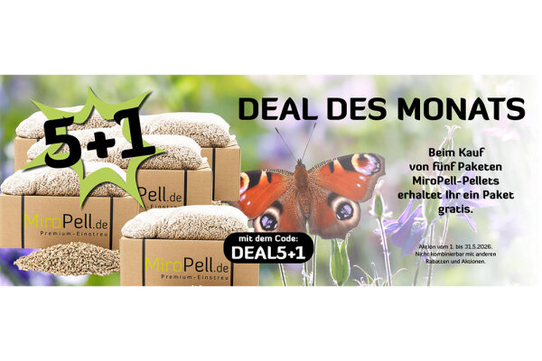 Deal des Monats: Mai 2026 - Deal des Monats: Mai 2026