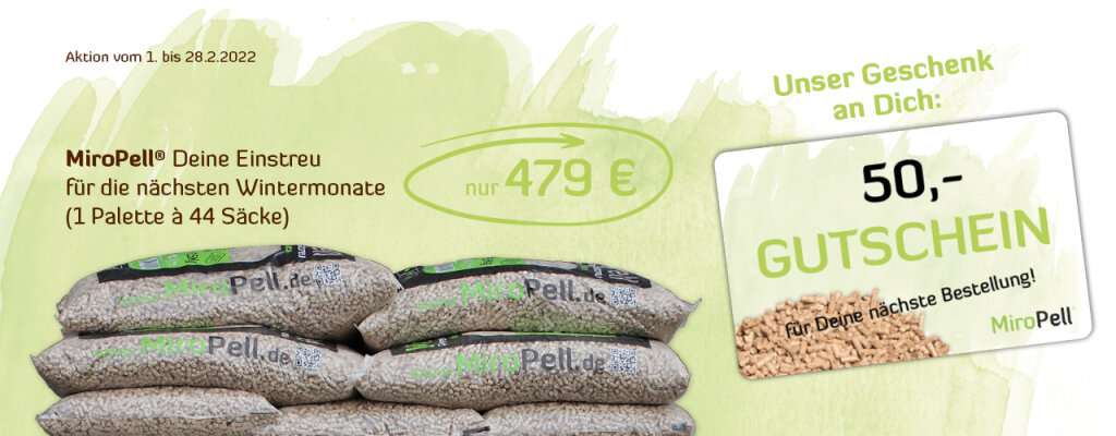Deal des Monats: Februar 2022 - Deal des Monats: Februar 2022
