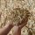 Miscanthus Gartenmulch – Nachhaltige Alternative zu Rindenmulch
